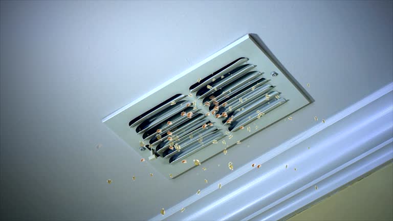 Best Duct Cleaning for Homes  in Micco, FL